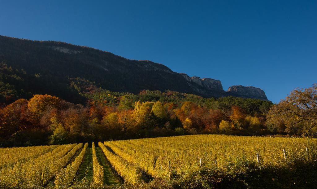 Weingut Wolkanhof Appiano Sulla Strada Del Vino Eksteriør bilde