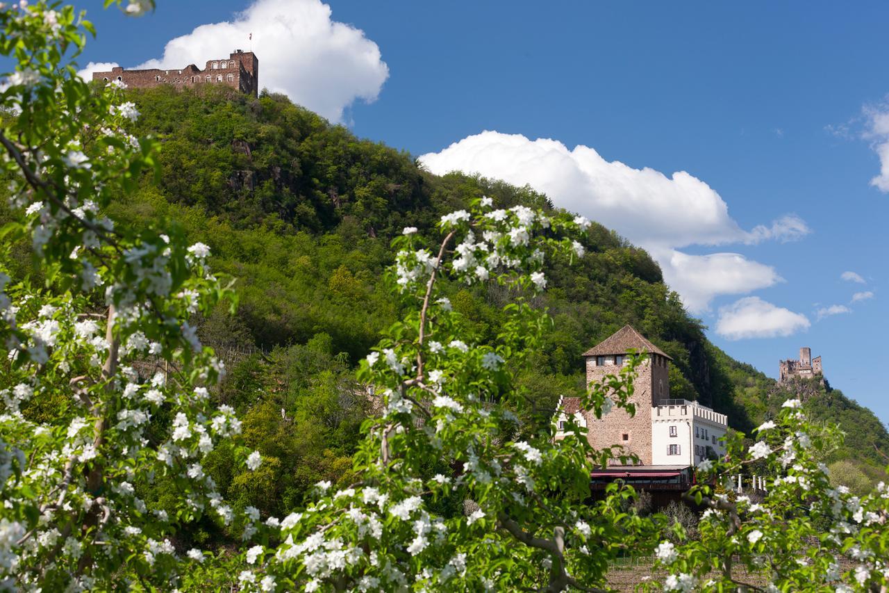 Weingut Wolkanhof Appiano Sulla Strada Del Vino Eksteriør bilde